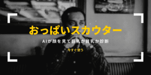 巨乳or貧乳 - AIが判定